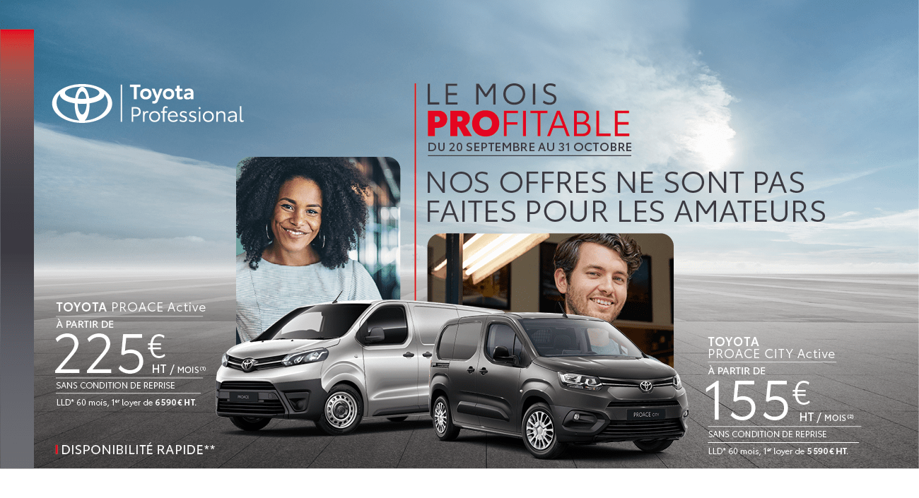 Mois Profitable Toyota Professional